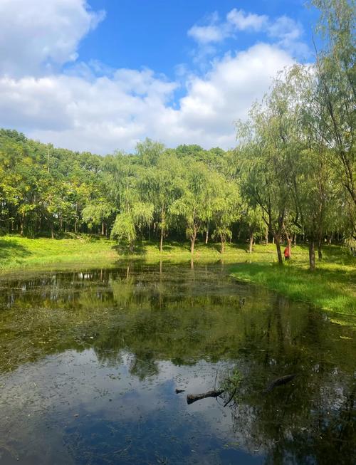 上海浦東世紀公園野釣_上海浦東川楊河野釣_上海浦東新區野釣地點