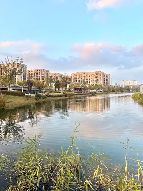 上海浦東川楊河野釣_上海浦東世紀公園野釣_上海浦東新區野釣地點