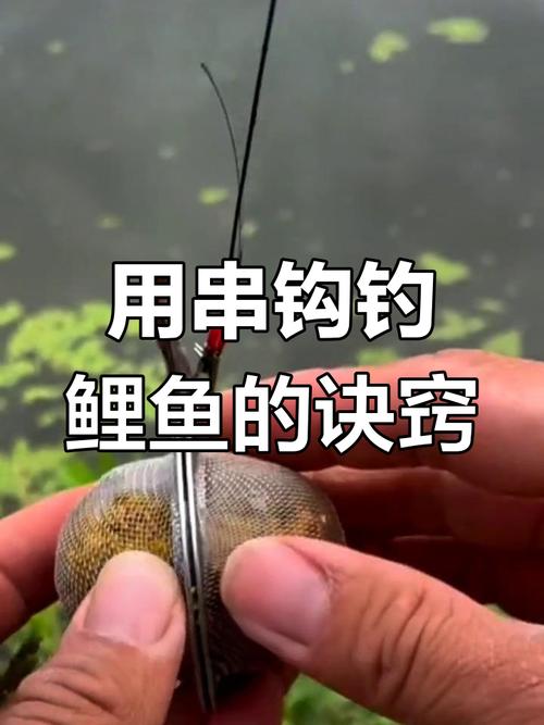 釣大鯉魚技巧_海竿帶漂釣魚技巧_海竿串鉤釣大鯉魚方法