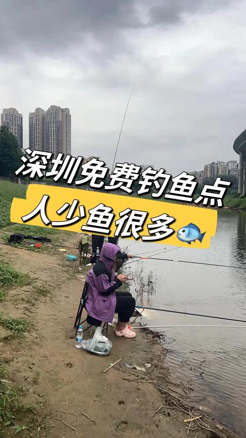 東湖公園垂釣活動_深圳公園釣魚區_深圳野釣地方推薦2026