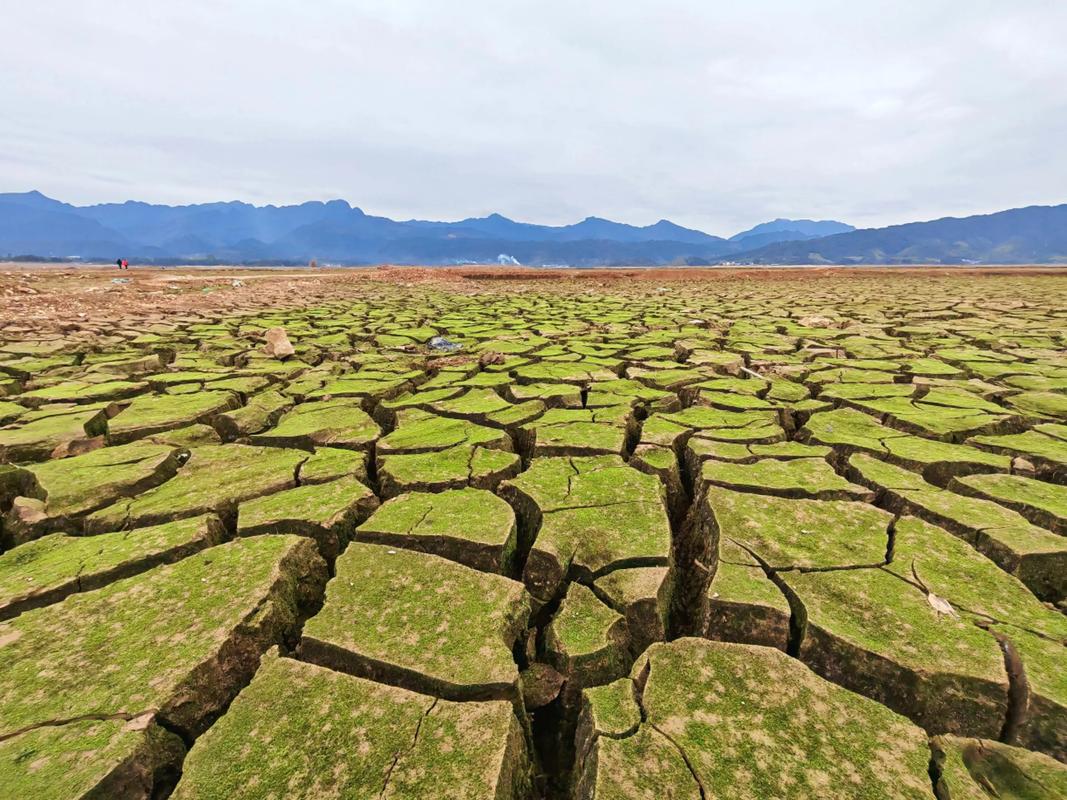 青獅潭水庫_青獅潭水庫除險加固工程_青獅潭水庫桂林版羅布泊