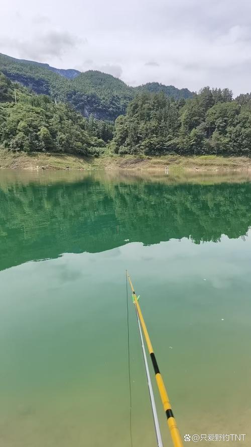 水庫漲水釣魚技巧_釣具選擇漲水期_漲水期水庫釣魚技巧