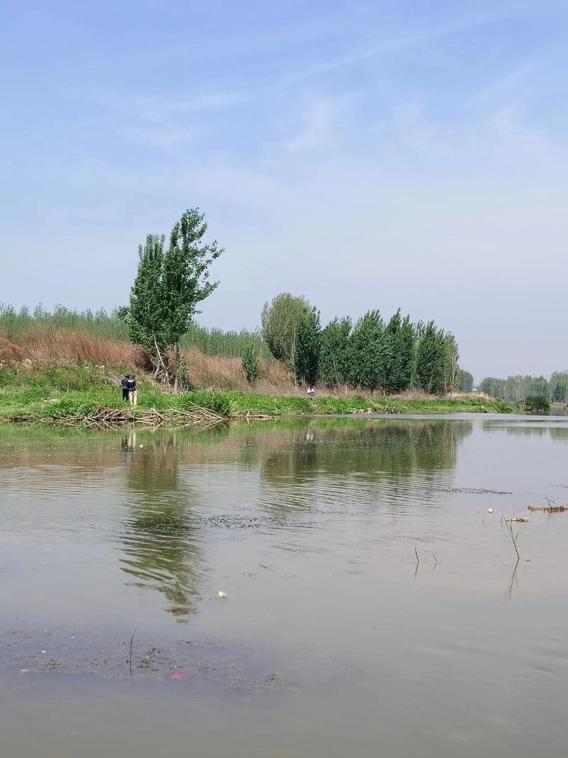 許昌都在哪野釣_潁河釣魚地點_許昌野釣釣點