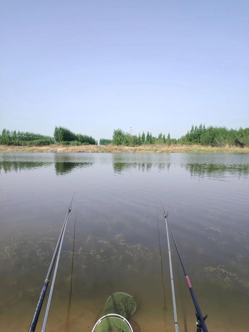 許昌都在哪野釣_許昌野釣釣點_潁河釣魚地點