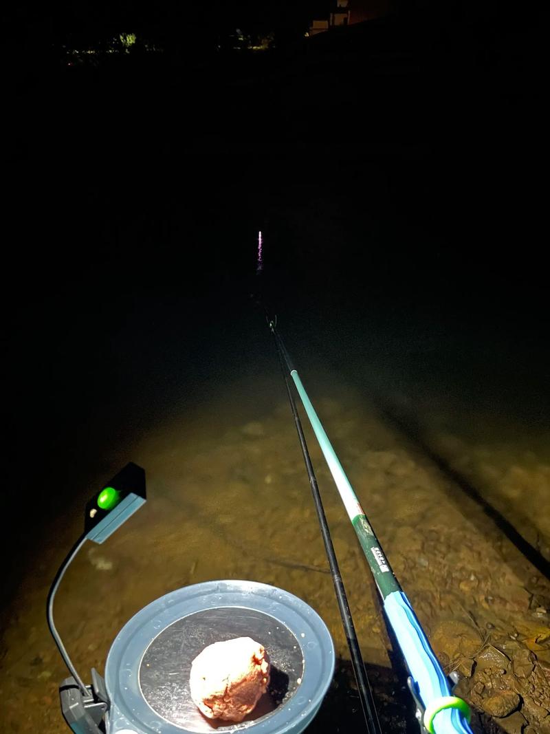 晚上去釣魚吧?_魚在晚上睡覺嗎_晚上釣魚技巧