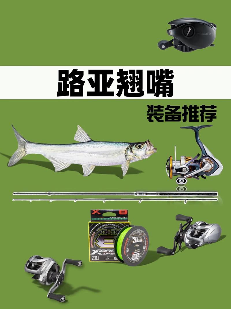 路亞魚竿怎么安裝圖解_路亞釣翹嘴裝備選擇_翹嘴魚路亞假餌使用技巧