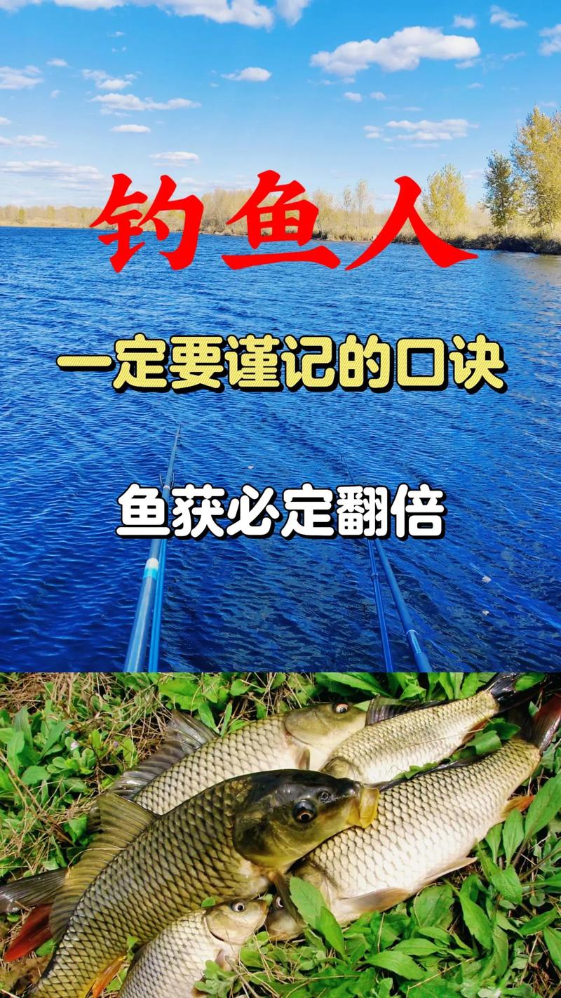 守釣鯉魚操作簡單效率分析_傳統釣法鯉魚技巧比較_臺釣野釣技巧
