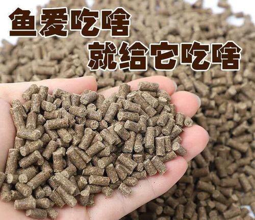 原塘顆粒開拉餌_原塘顆粒使用方法_黑坑垂釣原塘顆粒技巧