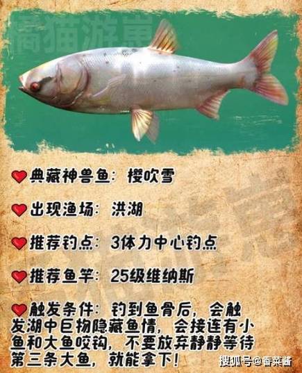 海龜坐騎獲取方法_魔獸世界釣魚坐騎_魔獸世界釣魚稀有坐騎