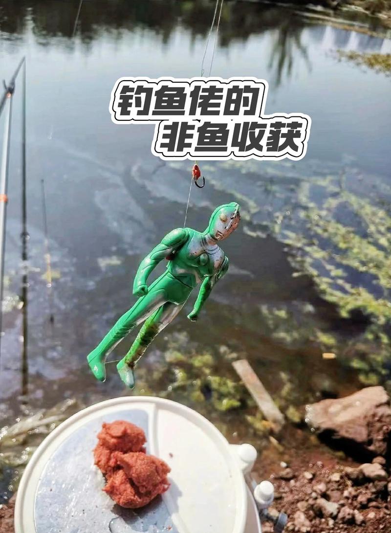 海釣淡水釣差異_跨場景釣魚技巧_去海釣