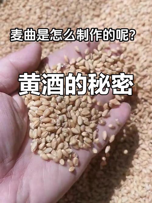 曲酒的種類_曲酒是什么酒_曲酒是什么酒