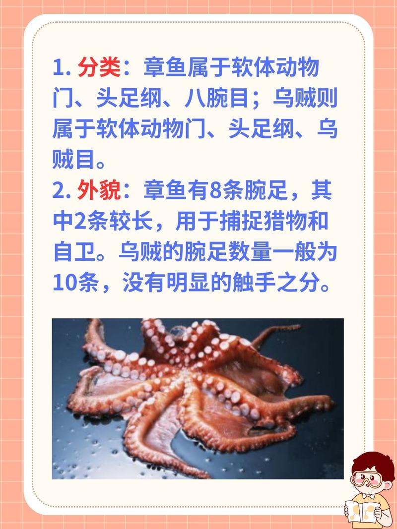 章魚簡介_章魚形態特征_章魚的百度百科