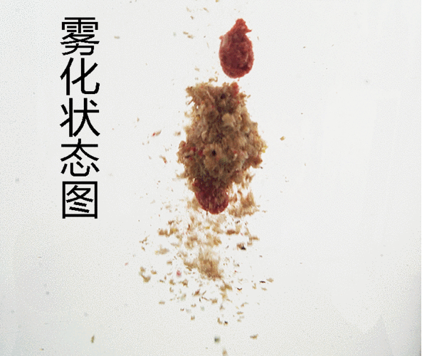 黑坑鯉魚正釣誘魚步驟_黑坑鯉魚誘魚技巧_如何釣鯉魚