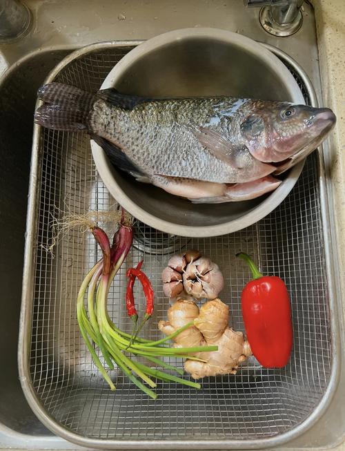 酸菜羅非魚的做法_蒸羅非魚的做法_羅非魚可以做酸菜魚嗎