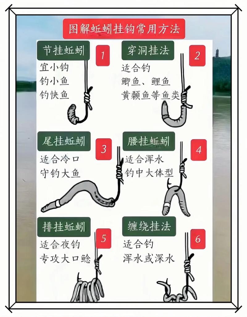 野釣鯽魚紅蚯蚓掛鉤技巧_夏季蚯蚓野河釣魚技巧_深秋野河怎樣釣鯽魚