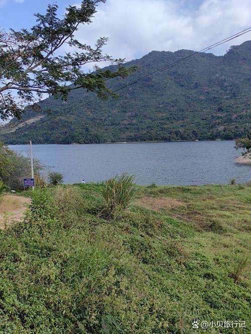 紹興適合釣魚的地方_紹興哪里可以野釣_紹興釣魚野釣的地方