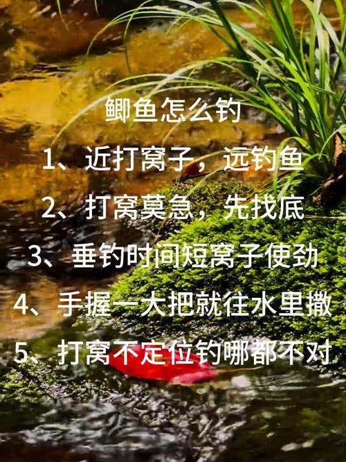 野釣走水技巧_流水野釣釣法_野釣 走水