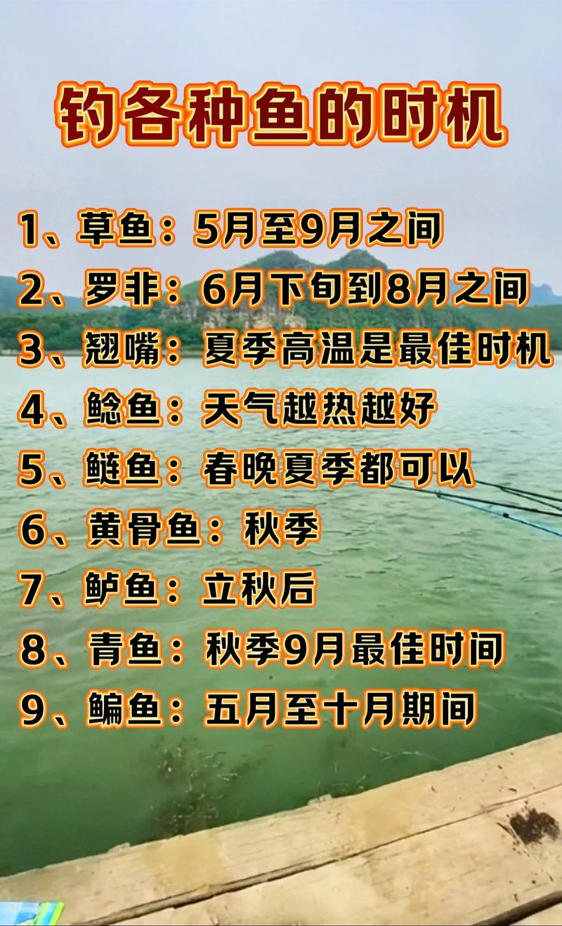 夏季野河釣魚技巧_夏季蚯蚓野河釣魚技巧_夏季野釣最佳時間