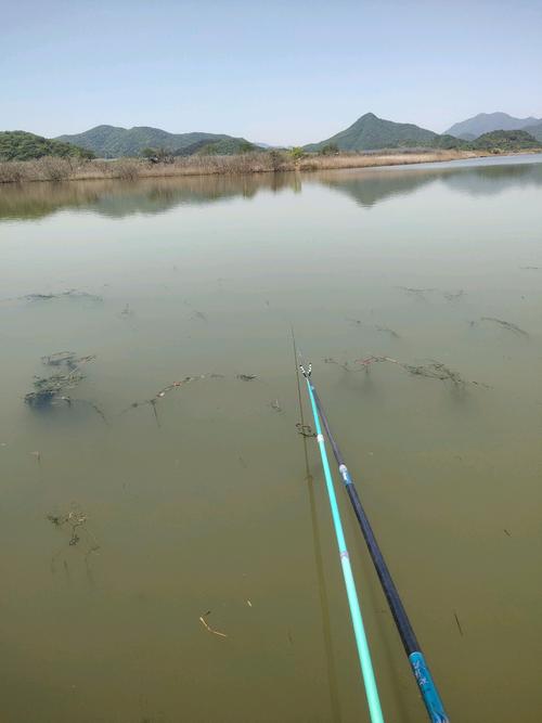 野釣 走水_野釣走水環境應對方法_慢走水調漂技巧