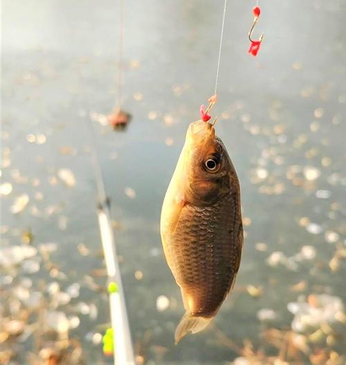 霧天釣魚技巧_春季下雨天釣魚技巧_春季釣魚天氣選擇