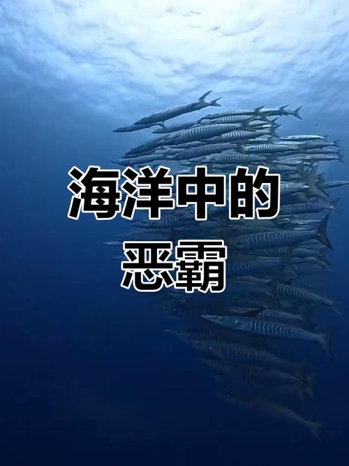 瘋狗浪的危害_瘋狗浪_瘋狗浪成因