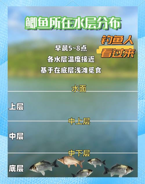 不同時段釣魚技巧_釣魚最佳時間_早上釣魚有哪些技巧