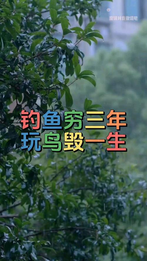 玩鳥毀一生_終于知道釣魚毀一生是什么意思了_釣魚窮三年