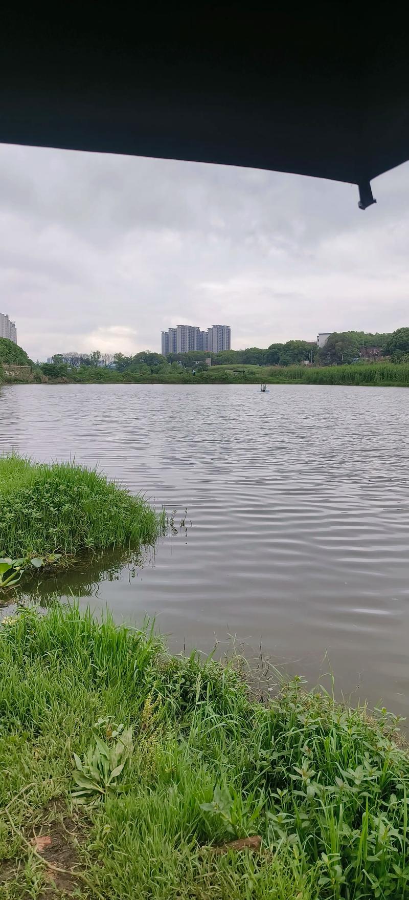 野塘釣位選擇_野塘釣魚技巧_附近哪里有野塘釣魚