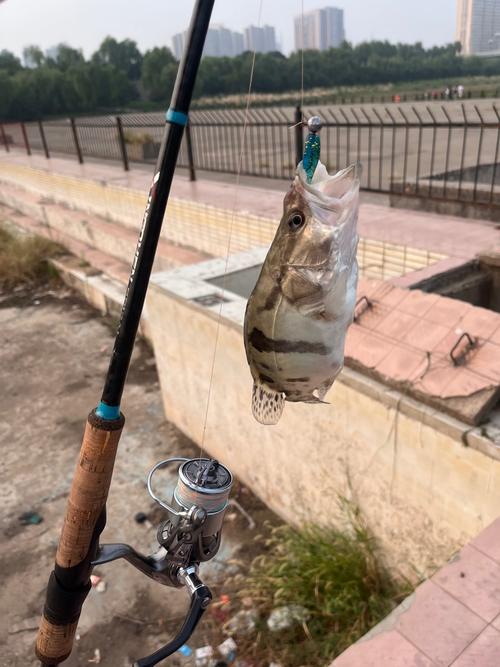 五一游釣記(記錄支嘎阿魯湖作釣)_五一游釣記(記錄支嘎阿魯湖作釣)_五一游釣記(記錄支嘎阿魯湖作釣)