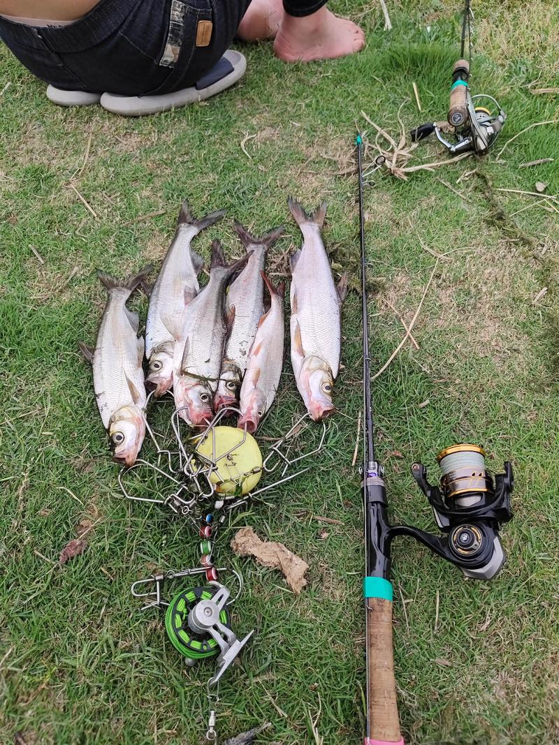 武漢路亞_武漢路亞大全_武漢哪里有路亞能釣魚_路亞釣魚技巧_上海路亞基地推薦