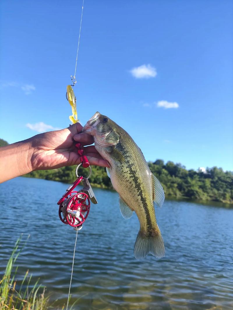 上海路亞基地推薦_路亞釣魚技巧_武漢路亞_武漢路亞大全_武漢哪里有路亞能釣魚