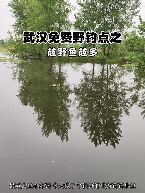 武漢梨園醫院附近釣魚點_武漢釣魚哪里好？這15個釣點快收好-好釣魚_武漢釣魚地點推薦