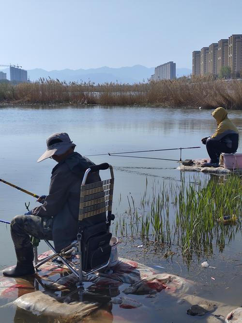 釣魚公園在哪里_周浦釣魚場_周浦公園釣魚記