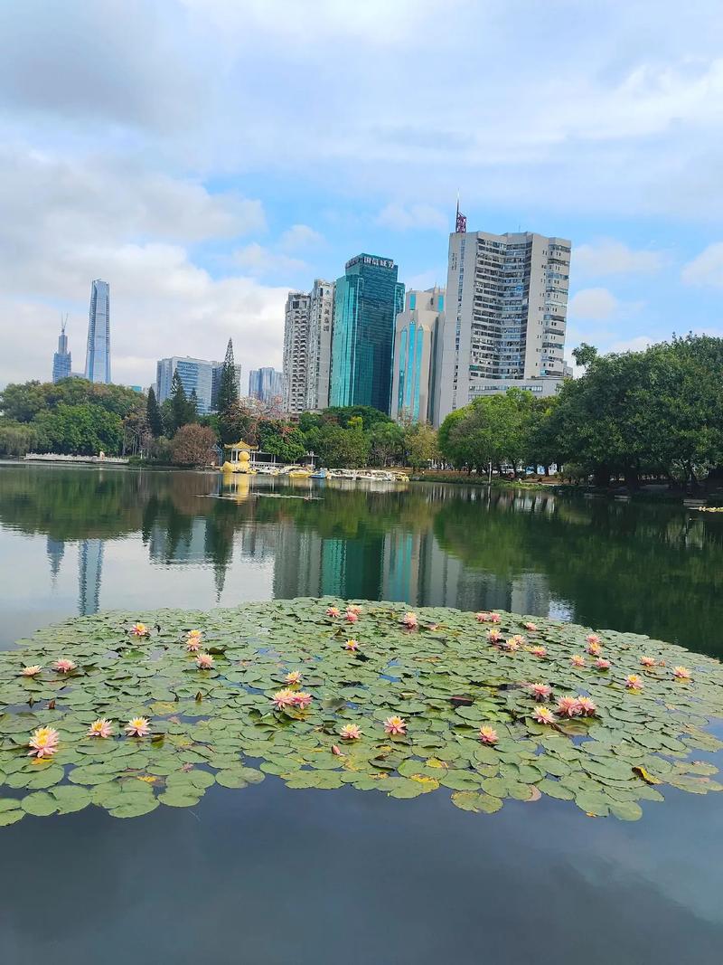 深圳情侶景點_深圳荔枝公園夜景_深圳荔枝公園