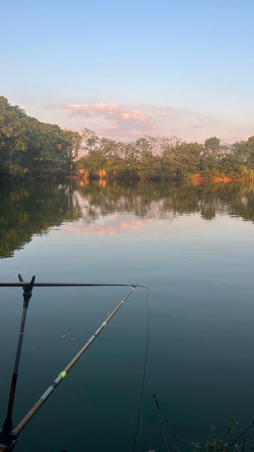 東西湖垂釣體驗_東西湖那里能野釣_東西湖自然風光