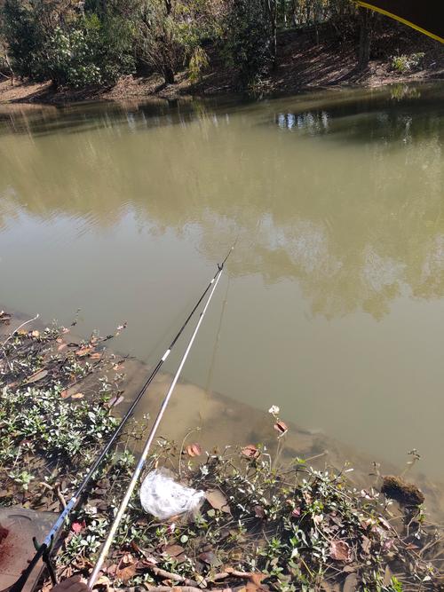 春季釣魚與天氣_驚蟄至清明釣魚氣候選擇_春季釣魚最佳天氣