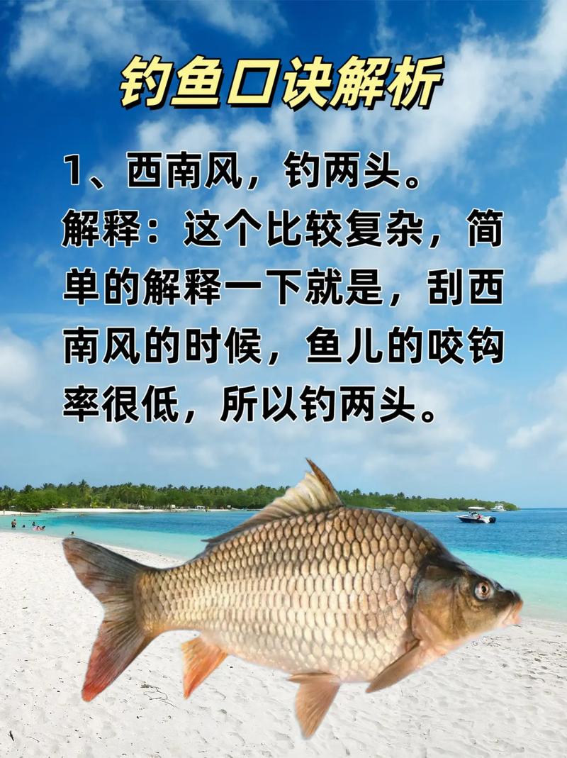 西南風釣魚效果_西南風魚難釣嗎?_風向對釣魚的影響