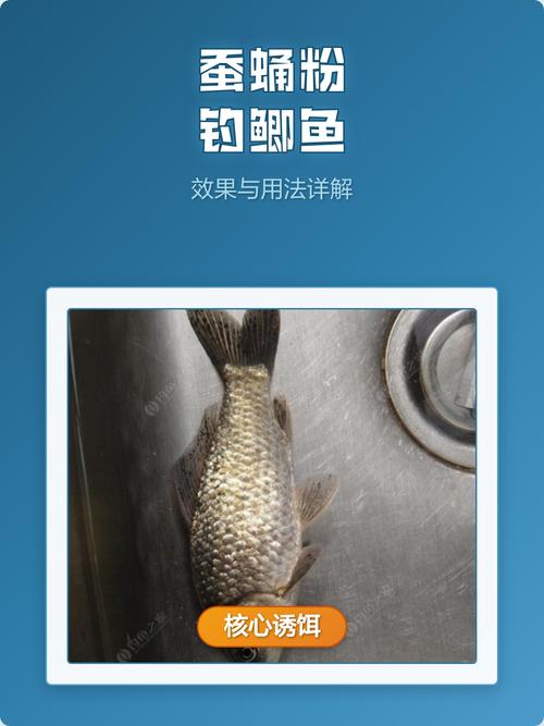 蚯蚓粉釣魚好用嗎_模擬活餌誘魚效果餌料_動態腥香釋放蚯蚓粉