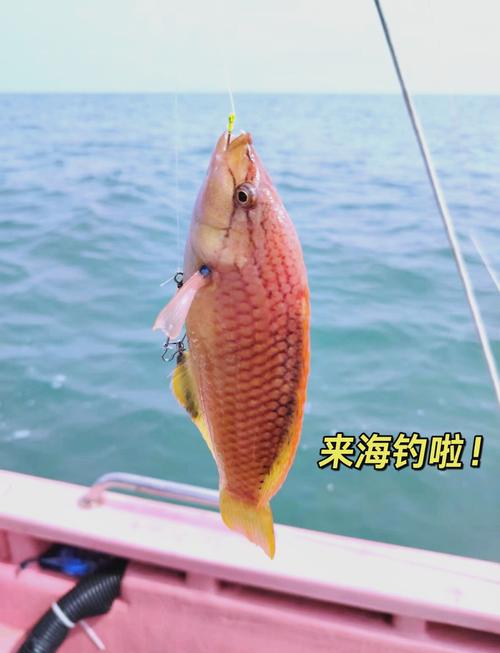 海南海釣，四季都能玩！深圳釣友看過來