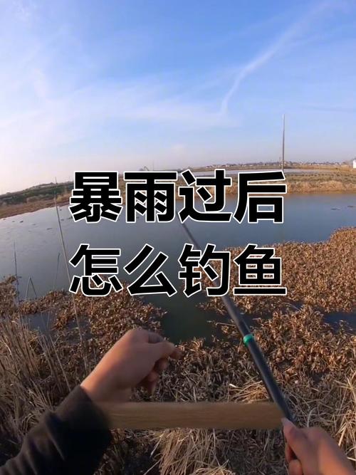 夏釣最佳季節_大雨天如何釣魚_夏釣最佳釣位