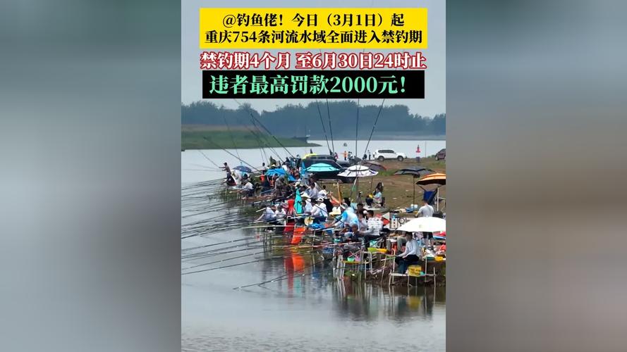 項城駙馬溝規模_項城駙馬溝生態公園釣魚_項城駙馬溝一圈多少公里