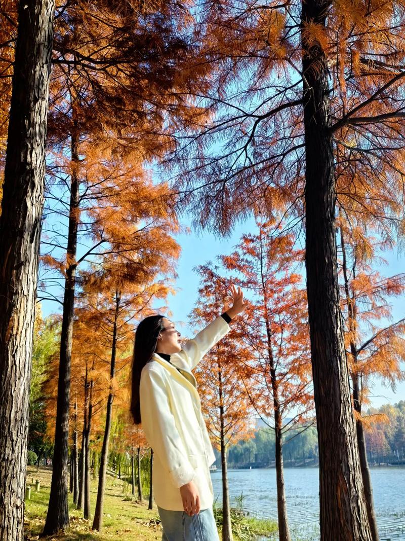 項城駙馬溝生態公園釣魚_項城駙馬溝規模_項城駙馬溝一圈多少公里