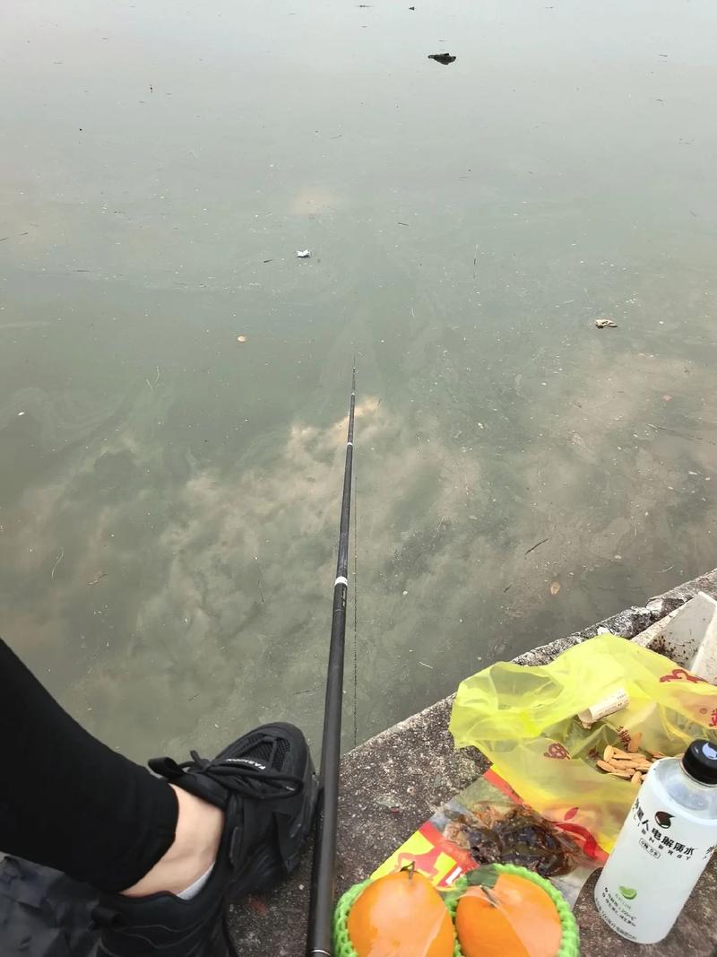 釣魚的魅力有多大_老釣魚人釣魚上癮_下午去釣魚真正過了釣魚癮