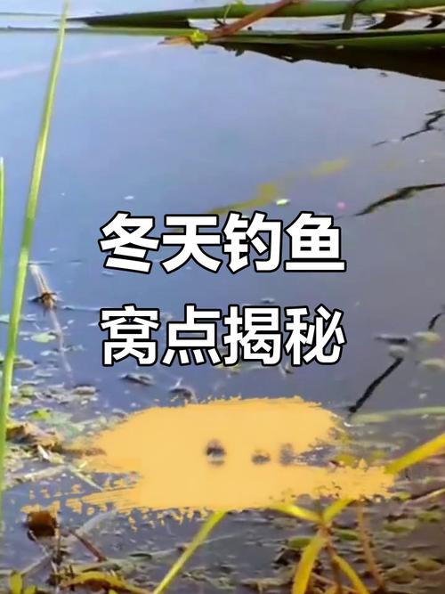 淡水釣魚影響魚進食因素_江河水庫淡水釣魚技巧_江河手竿釣魚技巧