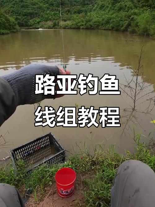 釣魚視頻野釣實戰大魚_野釣視頻_鉤魚視頻野釣