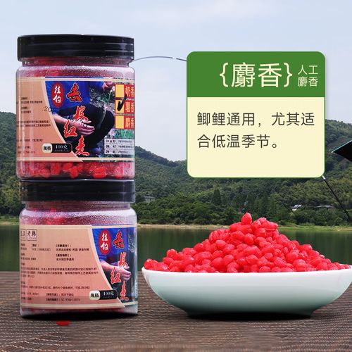 鯽魚夏季用餌技巧_夏季釣鯽魚餌料選擇_夏季釣魚用麝香味還是奶香?