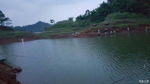 崗南水庫位置_崗南水庫怎么樣_總崗山水庫_總崗山水庫地址_總崗山水庫電話