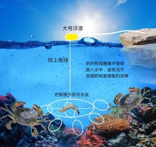 籠誘法釣螃蟹技巧_釣螃蟹方法_總結釣螃蟹的四種方法：不用魚鉤全靠陷阱誘捕