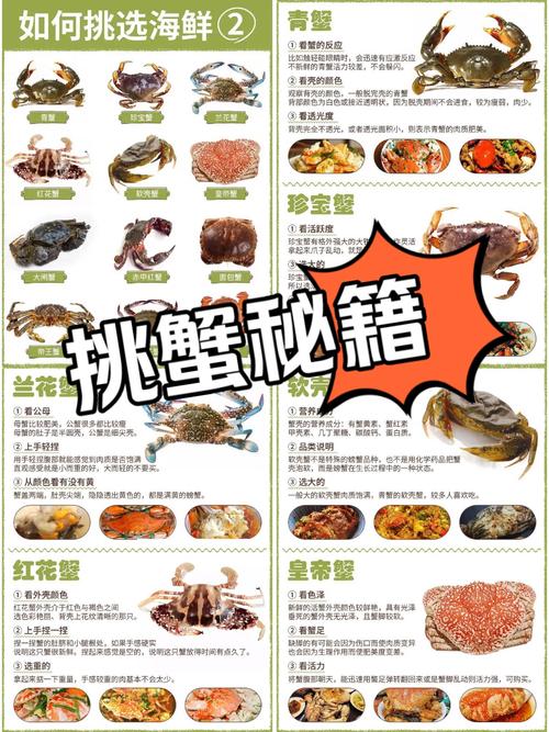 總結釣螃蟹的四種方法：不用魚鉤全靠陷阱誘捕_釣螃蟹方法_籠誘法釣螃蟹技巧