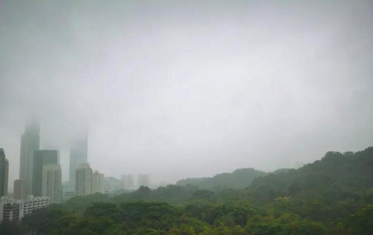 深圳清明假期天氣_深圳節后一周天氣預報_深圳未來10天天氣